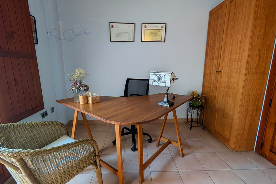 Consulta presencial